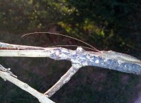 20130109_194112-min.jpg