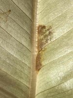 IMG_0287.jpeg
