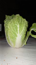 IMG-20230715-WA0052.jpeg