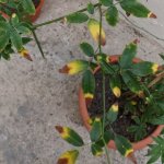 IMG_20230719_215707.jpg