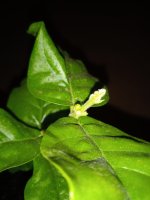IMG_20230715_033758.jpg
