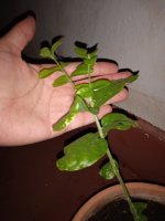 IMG_20230723_020503.jpg