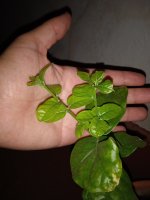 IMG_20230723_020457.jpg