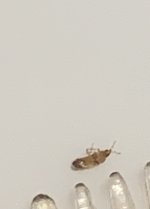 IMG_7184.jpeg