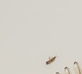 IMG_7183.jpeg