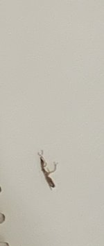 IMG_7177.jpeg