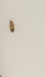 IMG_7173.jpeg