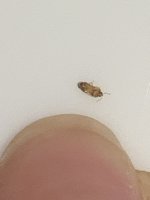 IMG_7167.jpeg