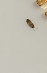 IMG_7168.jpeg