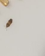 IMG_7140.jpeg