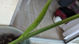 IMG-20230827-WA0002.jpeg