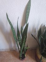 IMG_20230701_130052_Easy-Resize.com.jpg