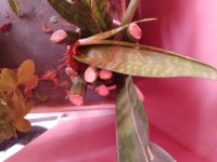IMG_20230901_115900_Easy-Resize.com.jpg