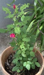 5F0A7594-9902-440D-9C95-44382998B86C.jpeg