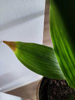 IMG_20231009_124832.jpg