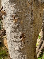 IMG_1001.jpeg