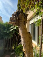 IMG_0997.jpeg