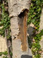 IMG_0998.jpeg