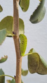 20231016_155626.jpg
