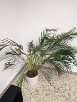 PXL_20231028_132401962.jpg