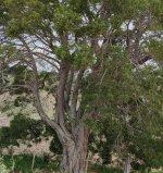 IMG_20231205_224854.jpg