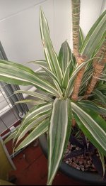 IMG_20240118_103448.jpg