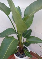 IMG_20240118_103024.jpg