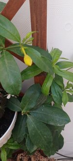 IMG_20240118_102830.jpg