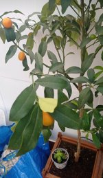 IMG_20240118_102741.jpg