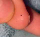 IMG_4284.jpeg