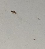 IMG_4288.jpeg