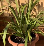IMG_6923.jpeg