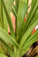 IMG_6920.jpeg