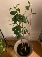 image0 (5).jpeg
