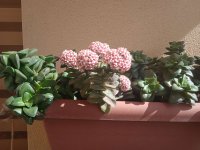 IMG_20240327_104630.jpg