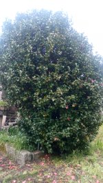 IMG-20240330-WA0015.jpg