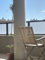 IMG_1588.jpeg