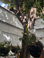 dc98d271-9c6d-4aac-9ce6-330e98244753.jpeg