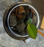 IMG_6886.jpeg