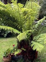 IMG_2927.jpg