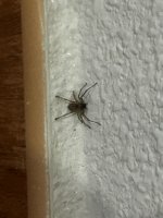 IMG_1810.jpeg