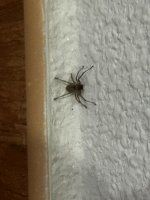 IMG_1809.jpeg