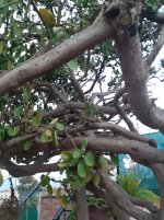 20250313_191003.jpg