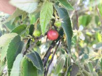 IMG_20250309_081711-min-compressed.jpg