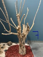 IMG_6988.jpeg