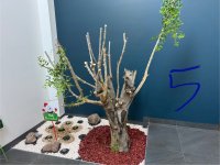 IMG_4802.jpeg