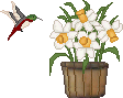 1743346174190.gif