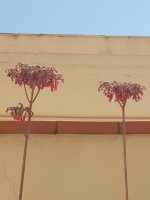 20250407_140029.jpg