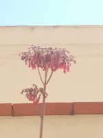 20250407_140101.jpg