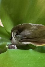 IMG_5964.jpeg